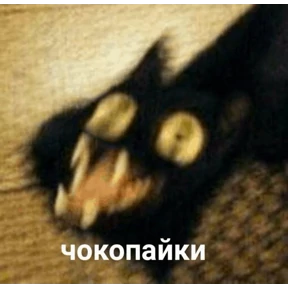 Мемная солянка — стикер для MAX