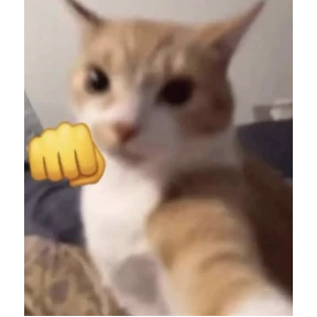 Мемная солянка — стикер для MAX