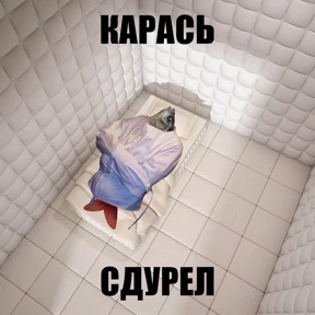 Мемная солянка — стикер для MAX