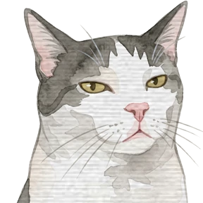 Мемные котики @sims4lookliya — стикер для MAX