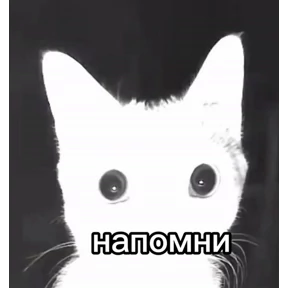 Имба — стикер для MAX