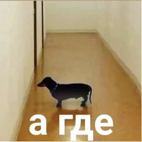 Имба — стикер для MAX