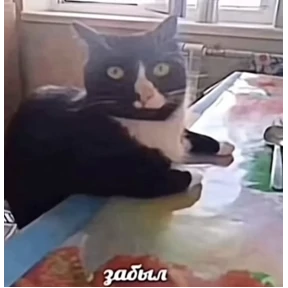 Имба — стикер для MAX