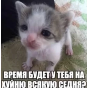 Имба — стикер для MAX