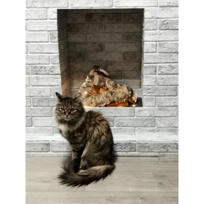 Мы — стикер для MAX