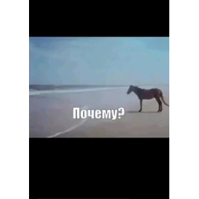 Стикеры — стикер для MAX