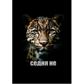 Стикеры — стикер для MAX