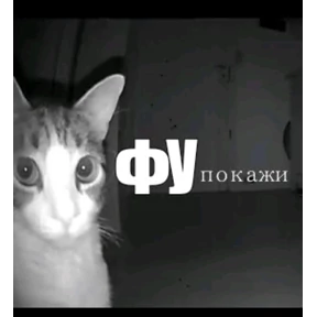 Стикеры — стикер для MAX
