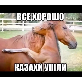 Стикеры — стикер для MAX