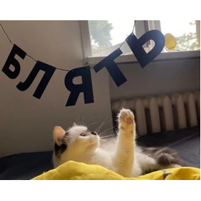 На мурмулях — стикер для MAX