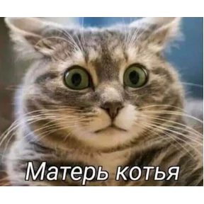 На мурмулях — стикер для MAX
