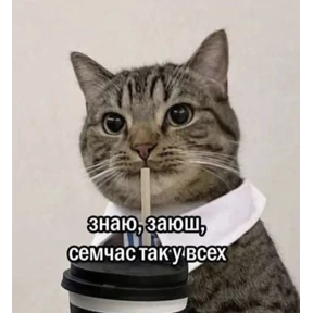 На мурмулях — стикер для MAX