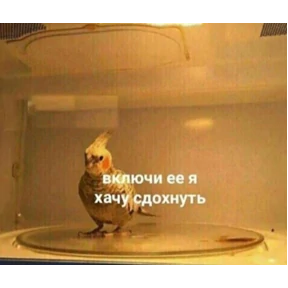 Стикеры — стикер для MAX