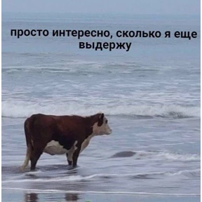 Стикеры — стикер для MAX