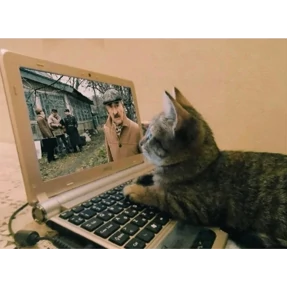 На мурмулях — стикер для MAX