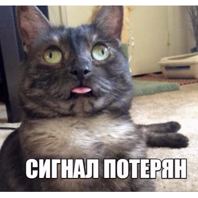 На мурмулях — стикер для MAX