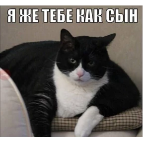 На мурмулях — стикер для MAX