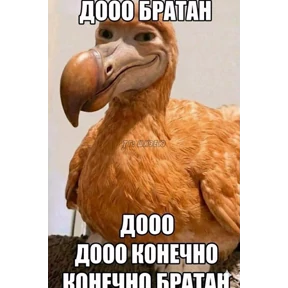 абобус — стикер для MAX