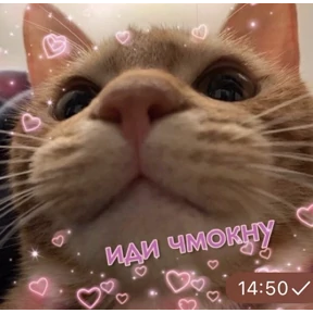 три крысы — стикер для MAX