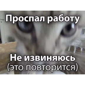 Мой — стикер для MAX