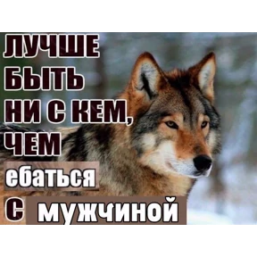 Мой — стикер для MAX