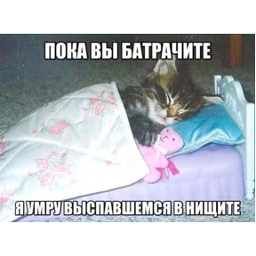 Мой — стикер для MAX