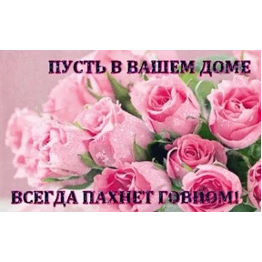 мемсовет — стикер для MAX