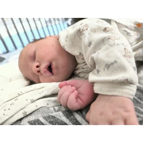 Костик — стикер для MAX