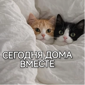 Дурилки — стикер для MAX