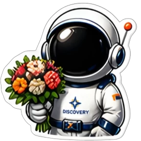 ДИСКАВЕРИ ЛОГИСТИКА — стикер для MAX