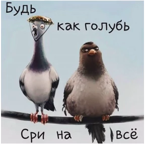 Спец подборка — стикер для MAX