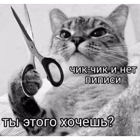 Спец подборка — стикер для MAX