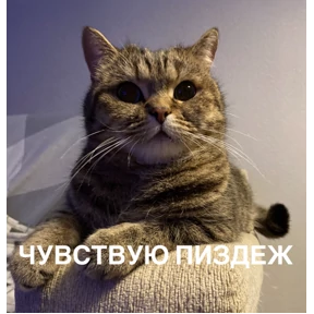 Уло, перезвони мне — стикер для MAX