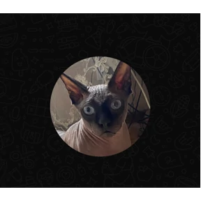 Уло, перезвони мне — стикер для MAX