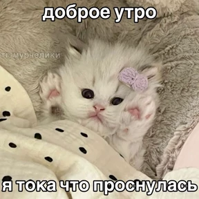 Мемы — стикер для MAX