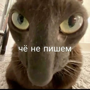 Мемы — стикер для MAX
