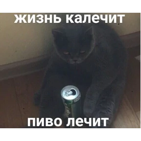 Мемы — стикер для MAX