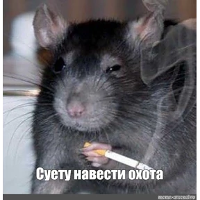 Мемы — стикер для MAX