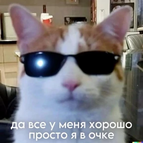 мемсовет — стикер для MAX