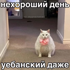 мемсовет — стикер для MAX