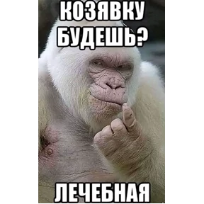 Мемы — стикер для MAX