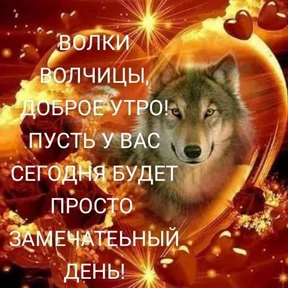 мемсовет — стикер для MAX