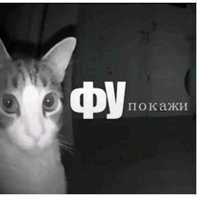 мемсовет — стикер для MAX