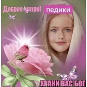 мемсовет — стикер для MAX