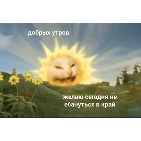 мемсовет — стикер для MAX