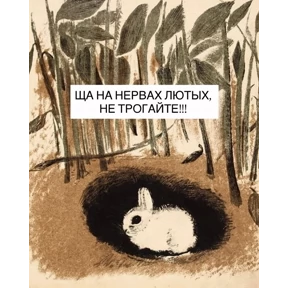 мемсовет — стикер для MAX