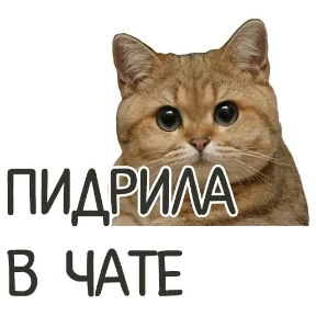 ОТБИТЫЕ — стикер для MAX