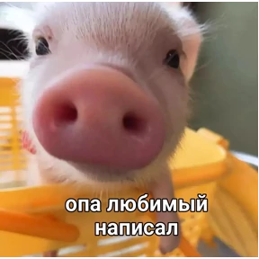 Мемасики — стикер для MAX