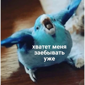 Мемасики — стикер для MAX