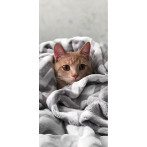 Мои — стикер для MAX